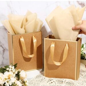 5 Pack Metallic Paper Gift Bags with Handle and Tissue 9 x 7 x 3.1